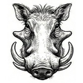 Warthog